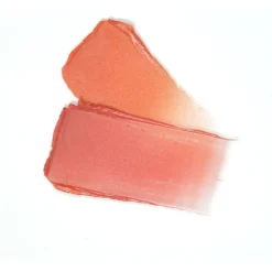 Lippenpflege Refill Color & Repulp Balm von Zao