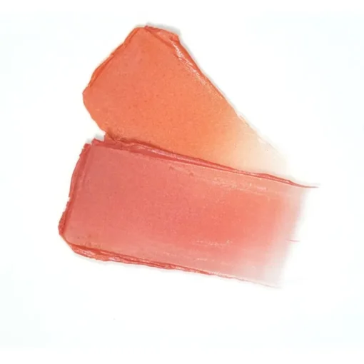 Lippenpflege Refill Color & Repulp Balm von Zao