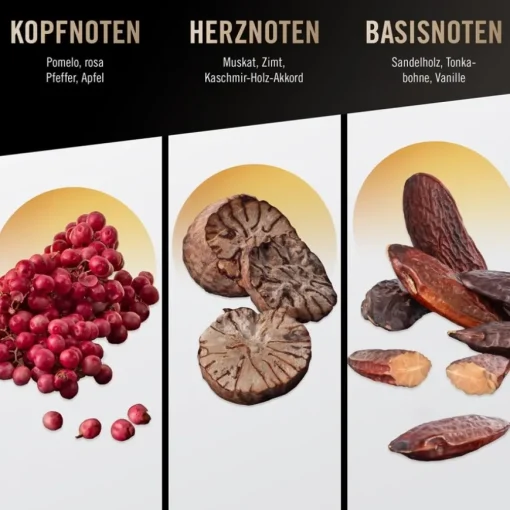 Man's Best Hair & Body Shower von Bruno Banani