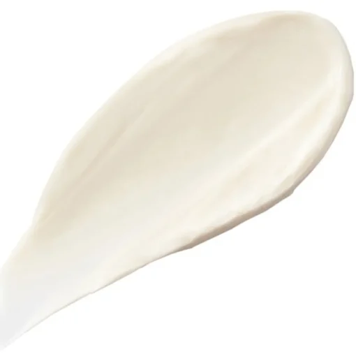 Masken Regenerating Mask with Prickly Pear Oil von Christophe Robin