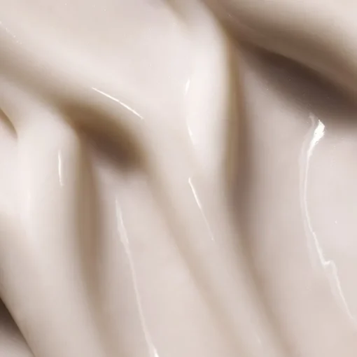 Microbiomic Moisture Glow Cream von BABOR