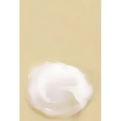 Mizon Sleeping Mask