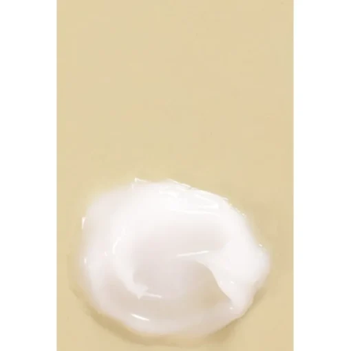 Mizon Sleeping Mask