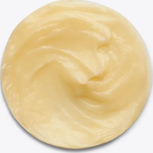 Moisture Recovery Treatment Balm von JOICO