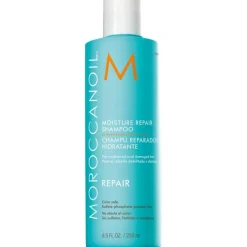 Moisture Repair Shampoo von Moroccanoil