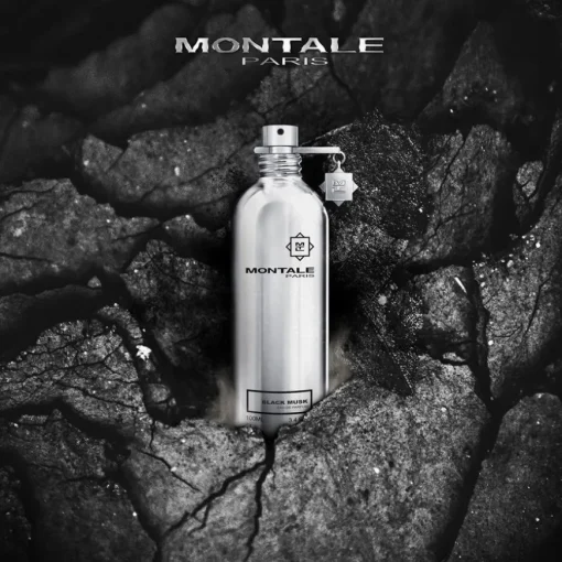 Montale Musk Black Musk Eau de Parfum Spray