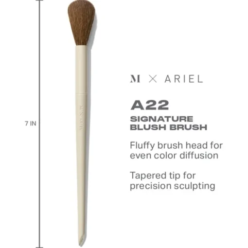 Morphe A22 Signature Blush Brush M X Ariel