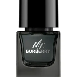 Mr. Burberry Black Eau de Parfum Spray von Burberry