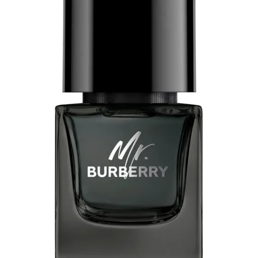 Mr. Burberry Black Eau de Parfum Spray von Burberry
