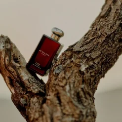 Myrrh & Tonka Cologne Intense von Jo Malone London