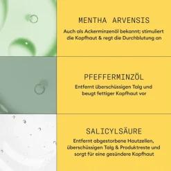 Naturbelassenes, dezent dünner werdendes Haar Cleanser Shampoo Natural Hair Progressed Thinning von Nioxin