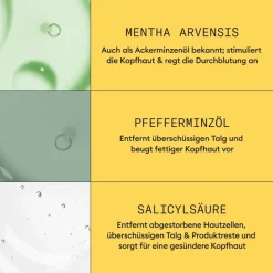 Naturbelassenes, dezent dünner werdendes Haar Cleanser Shampoo Natural Hair Progressed Thinning von Nioxin