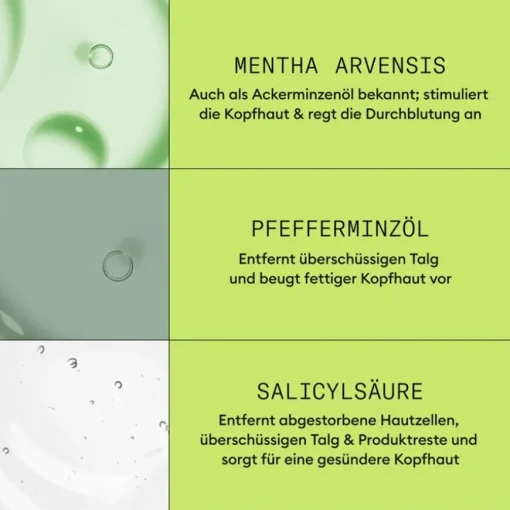 Naturbelassenes, sichtbar dünner werdendes Haar  Cleanser Shampoo Natural Hair Progressed Thinning von Nioxin