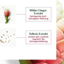 Neopur Ausgleichendes Shampoo für fettige Schuppen von René Furterer