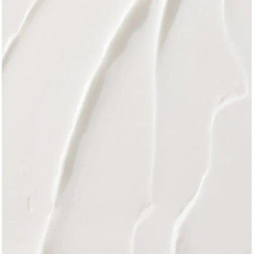 No Frizz Conditioner von Living Proof