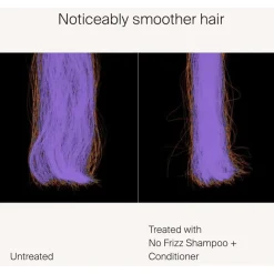 No Frizz Conditioner von Living Proof