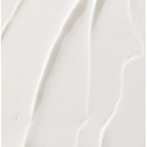 No Frizz Shampoo von Living Proof