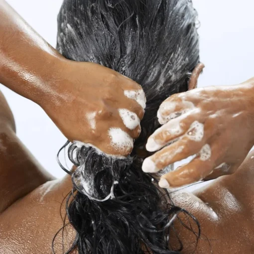 No Frizz Shampoo von Living Proof
