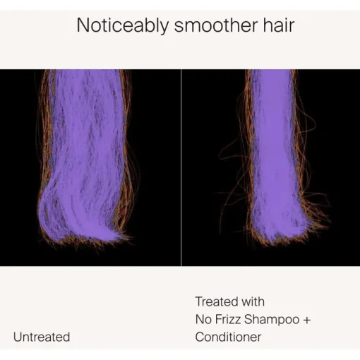 No Frizz Shampoo von Living Proof