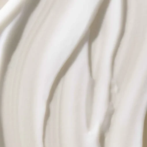No Frizz Smooth Styling Cream von Living Proof