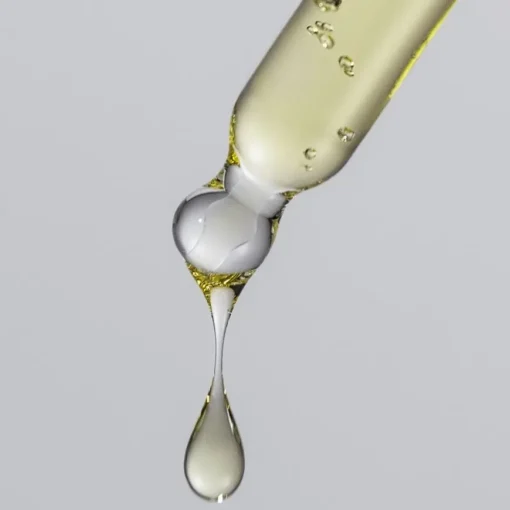 No Frizz Vanishing Oil von Living Proof