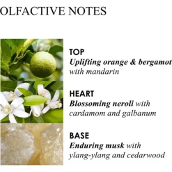 Orange & Bergamot Aroma Reeds Diffuser von Molton Brown