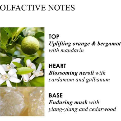 Orange & Bergamot Aroma Reeds Diffuser von Molton Brown