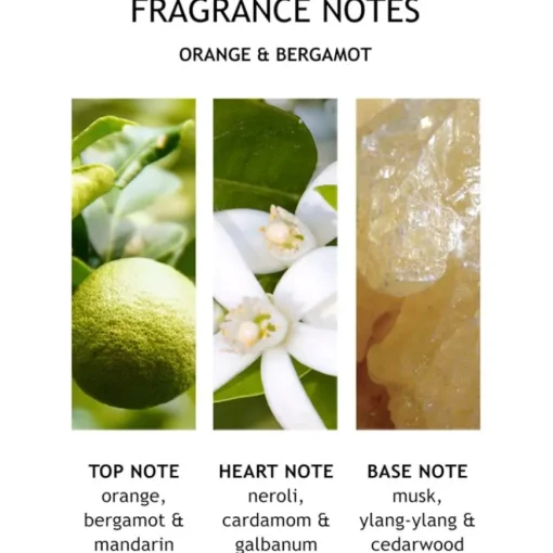Orange & Bergamot Hand Lotion von Molton Brown