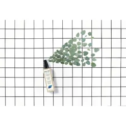 Phyto Detox Erfrischendes Geruchneutralisierendes Spray von PHYTO