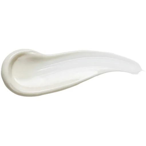 Plantscription Lifting & Firming Cream von Origins