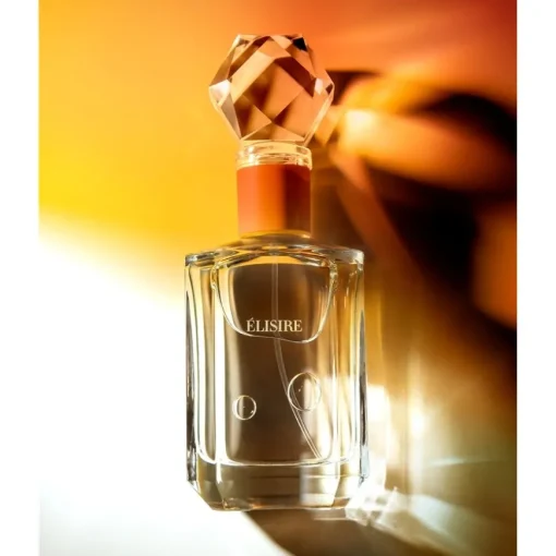 Première Extrait de Parfum AMBRE NOMADE von Élisire