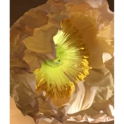 Première Extrait de Parfum EAU PAPAGUÉNA von Élisire