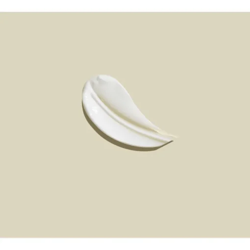 Probiotics Pre + Probiotic Foot Cream von Ahava
