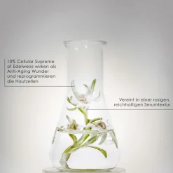 Prodigy The Deep Renewing Concentrate Cellglow von Helena Rubinstein