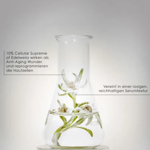 Prodigy The Deep Renewing Concentrate Cellglow von Helena Rubinstein