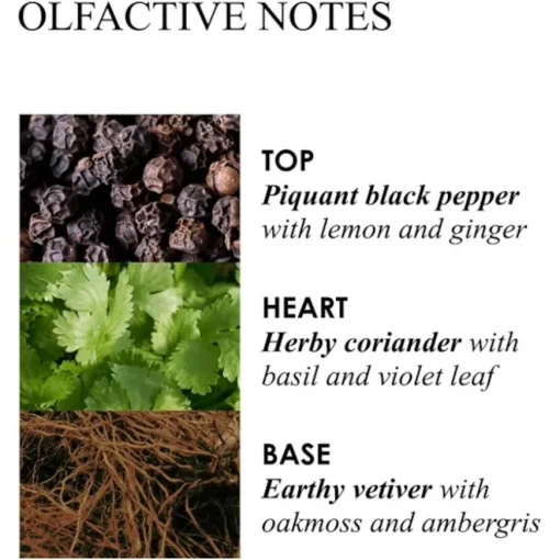 Re-Charge Black Pepper Aroma Reeds von Molton Brown