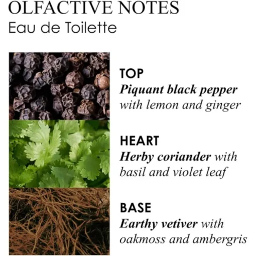 Re-Charge Black Pepper Eau de Toilette Spray von Molton Brown
