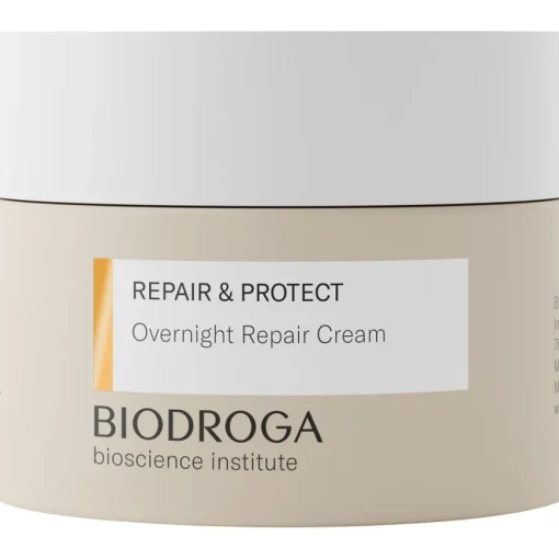 Repair & Protect Overnight Repair Cream von Biodroga