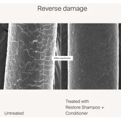 Restore Shampoo von Living Proof