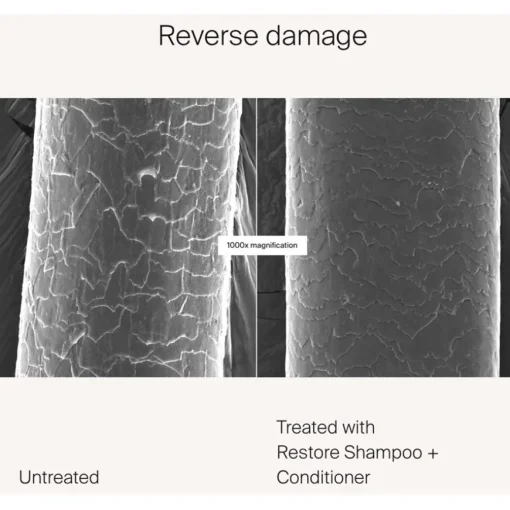 Restore Shampoo von Living Proof