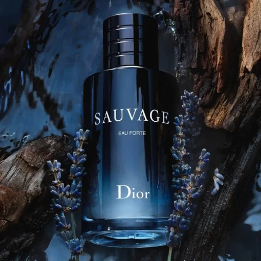 Sauvage Sauvage Eau Forte Alkoholfreier Duft – Frische und intensive Noten von DIOR