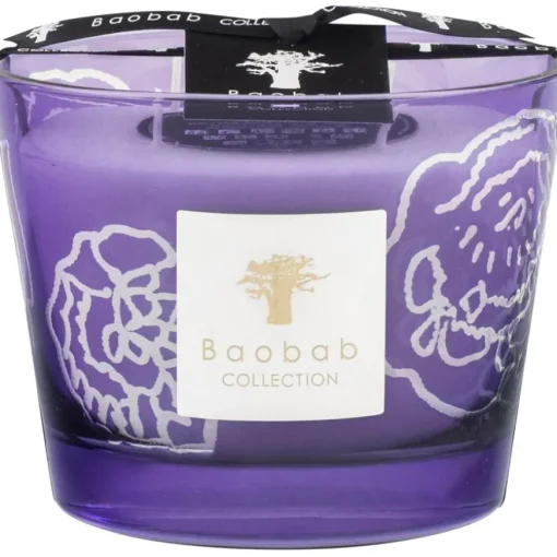Scented Candles Kerze Roses Dark von Baobab