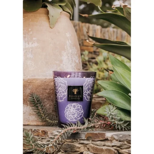 Scented Candles Kerze Roses Dark von Baobab