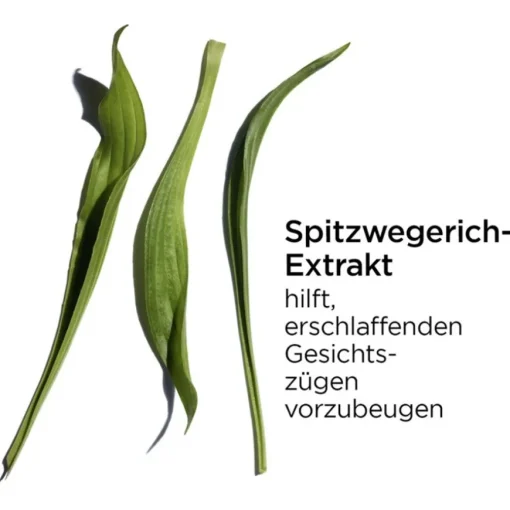 Seren Multi-Intensive Supra Sérum von CLARINS