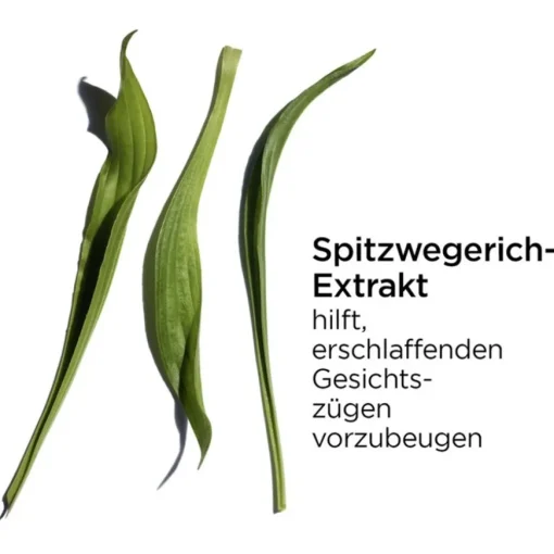 Seren Multi-Intensive Supra Sérum von CLARINS