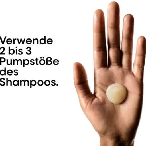Serie Expert Absolut Repair Professional Shampoo von L’Oréal Professionnel Paris