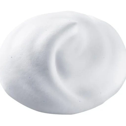Shiseido Deep Cleansing Foam