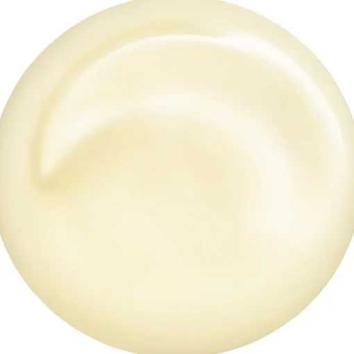 Shiseido Total Revitalizer Eye
