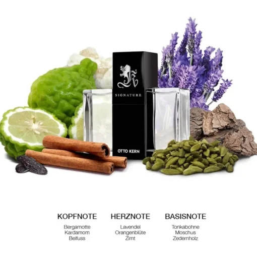 Signature Man After Shave von Otto Kern