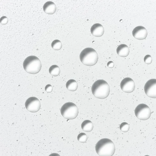Skin Health Hyaluronic Ceramide Mist von Dermalogica